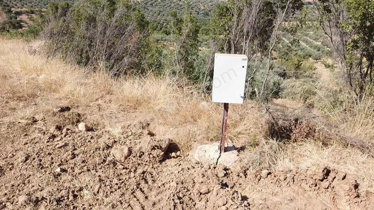 Tire Işıklarda Elektrik Mevcut Tarla Fırsatı! — fotoğraf 8
