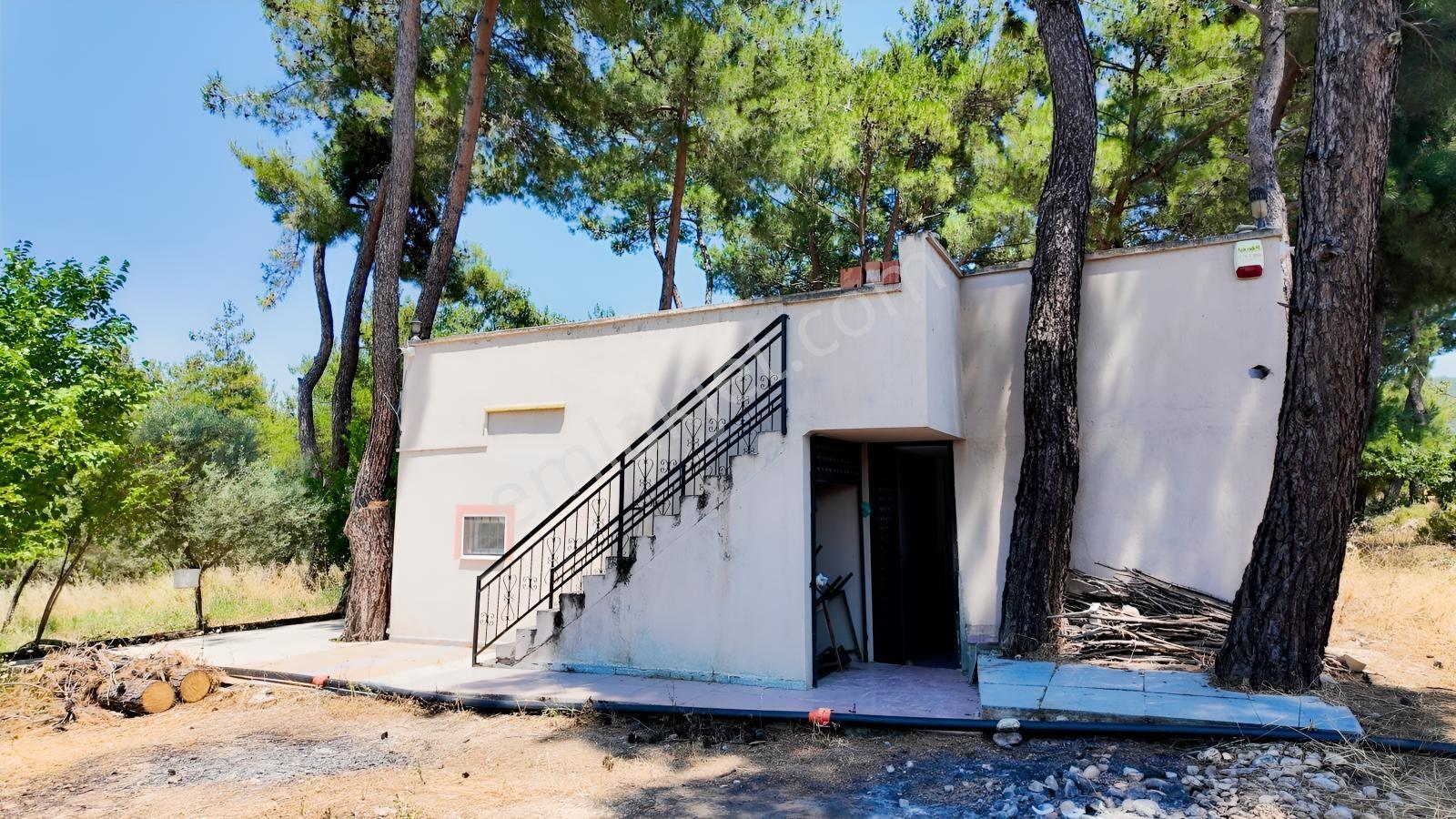 Karacaağaç'ta Ana Yola Cepheli Çift Girişli Müstakil Arsa — fotoğraf 10