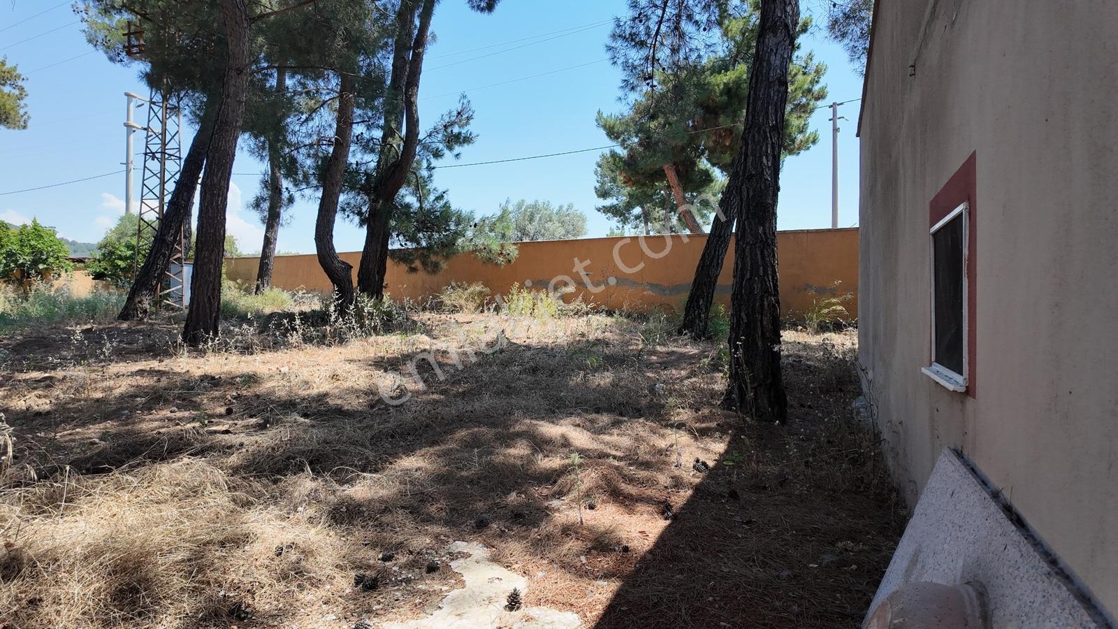 Karacaağaç'ta Ana Yola Cepheli Çift Girişli Müstakil Arsa — fotoğraf 13