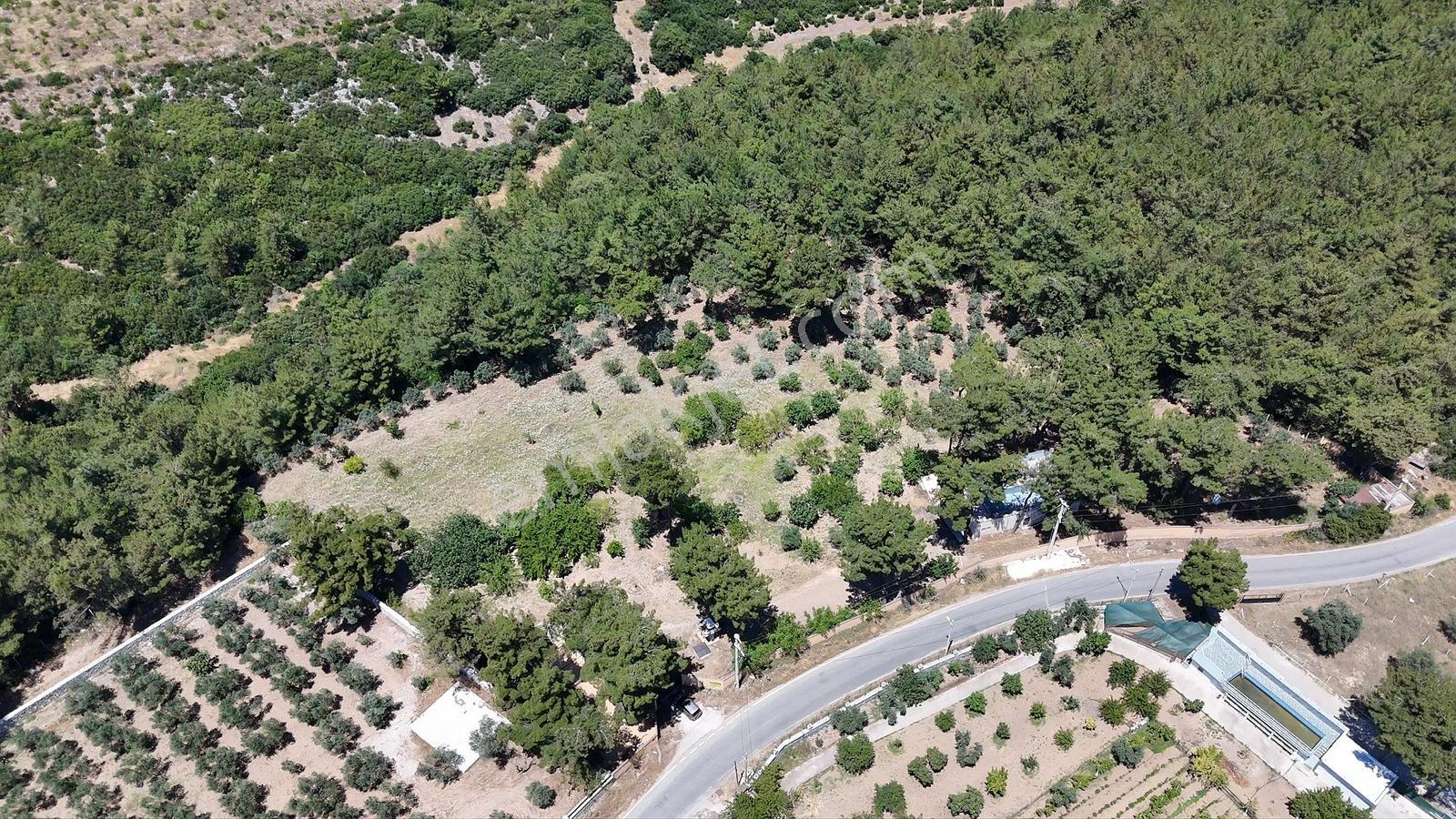Karacaağaç'ta Ana Yola Cepheli Çift Girişli Müstakil Arsa — fotoğraf 17