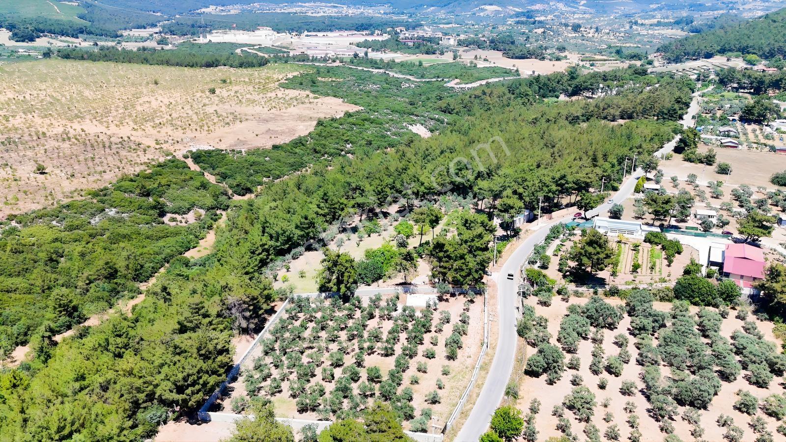 Karacaağaç'ta Ana Yola Cepheli Çift Girişli Müstakil Arsa — fotoğraf 20