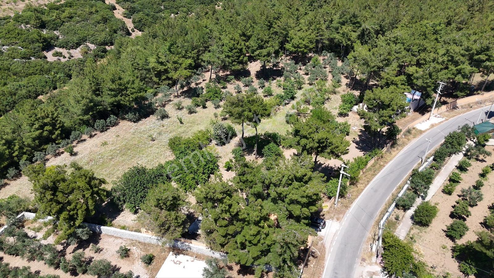 Karacaağaç'ta Ana Yola Cepheli Çift Girişli Müstakil Arsa — fotoğraf 23