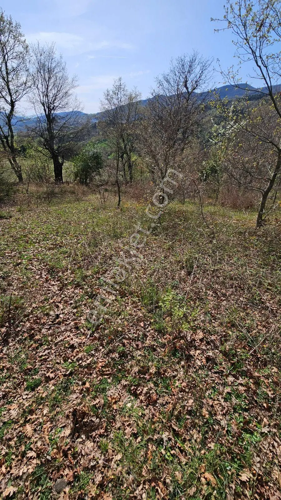 Gönen Ortaoba Mahallesinde Satılık Tarla — fotoğraf 2