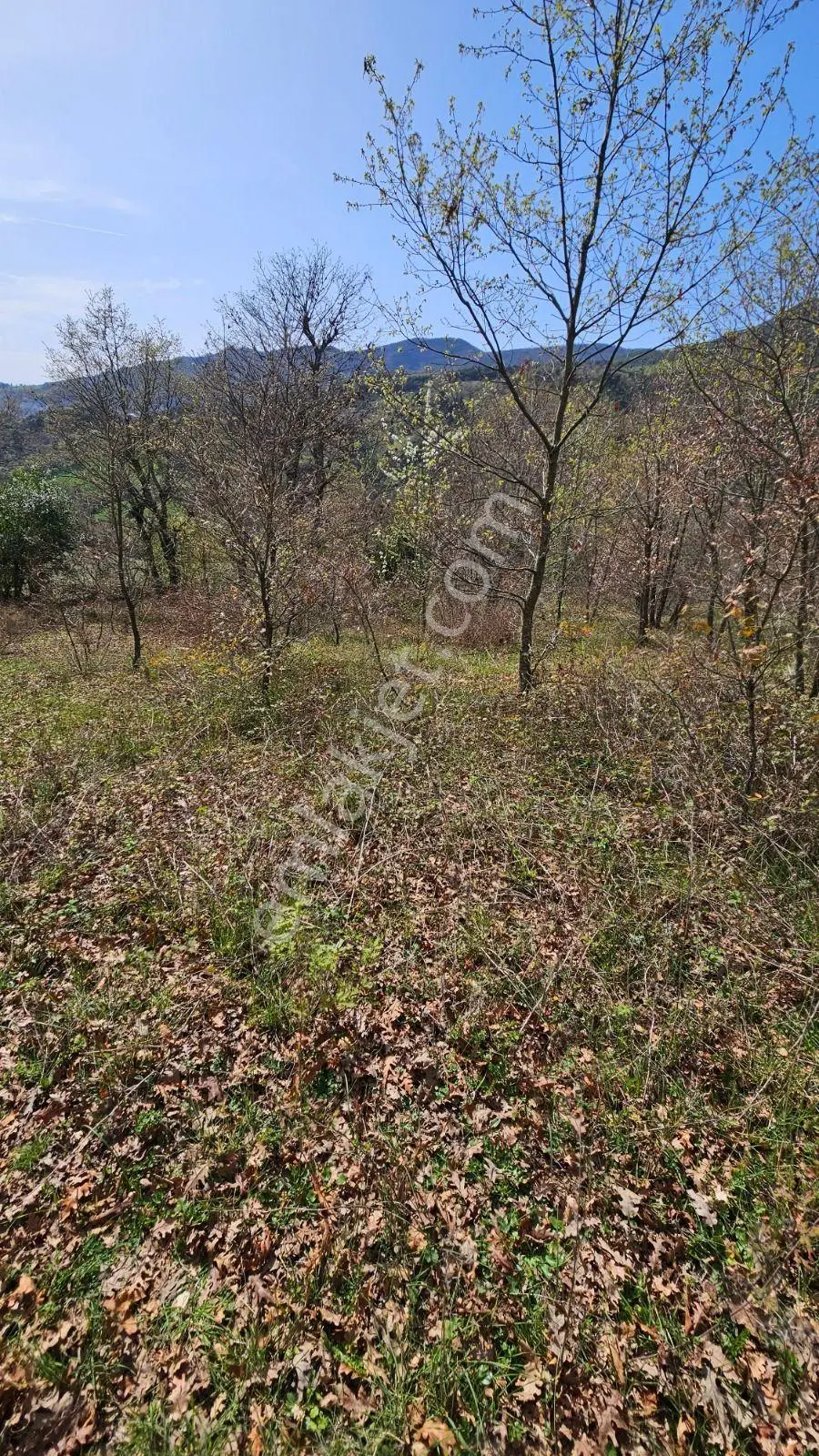 Gönen Ortaoba Mahallesinde Satılık Tarla — fotoğraf 3