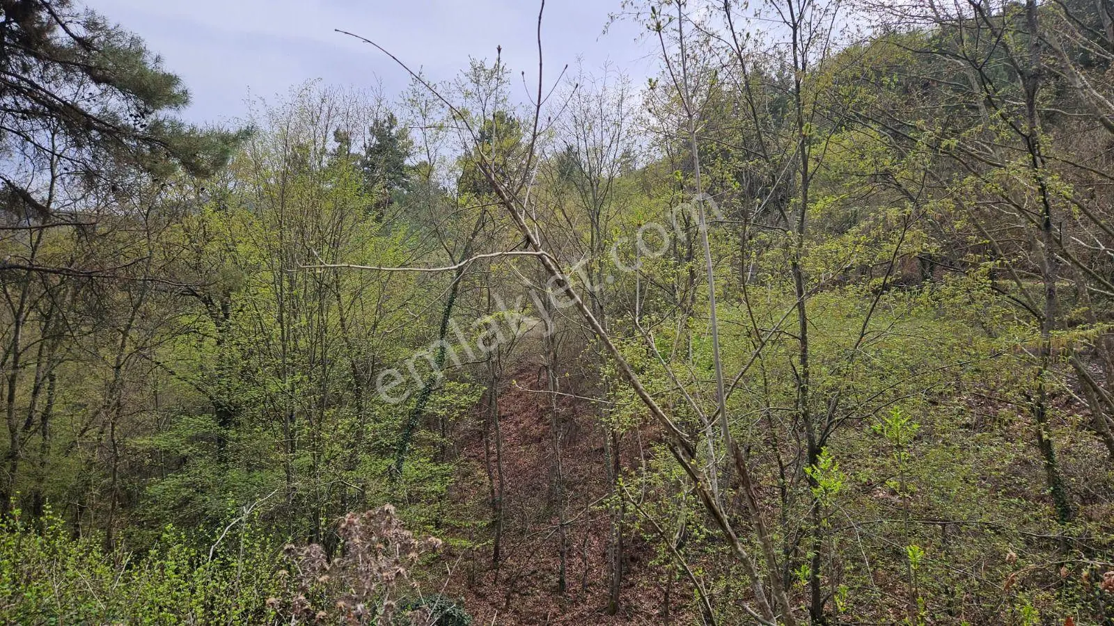 Gönen Ortaoba Mahallesinde Satılık Tarla — fotoğraf 5