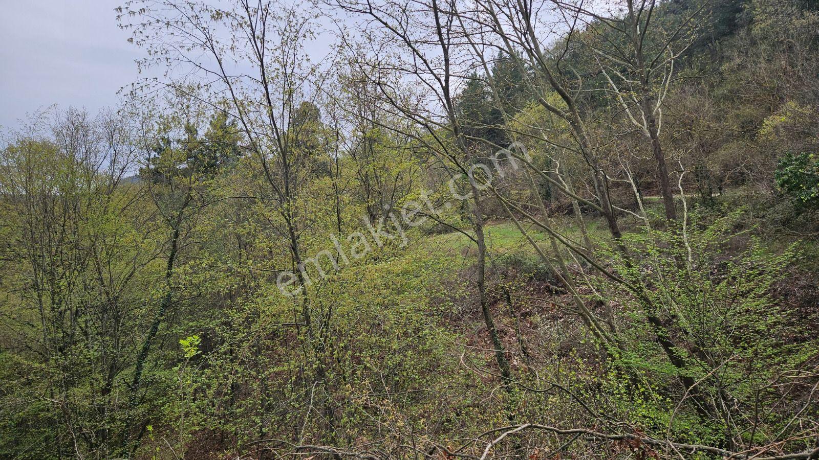 Gönen Ortaoba Mahallesinde Satılık Tarla — fotoğraf 6