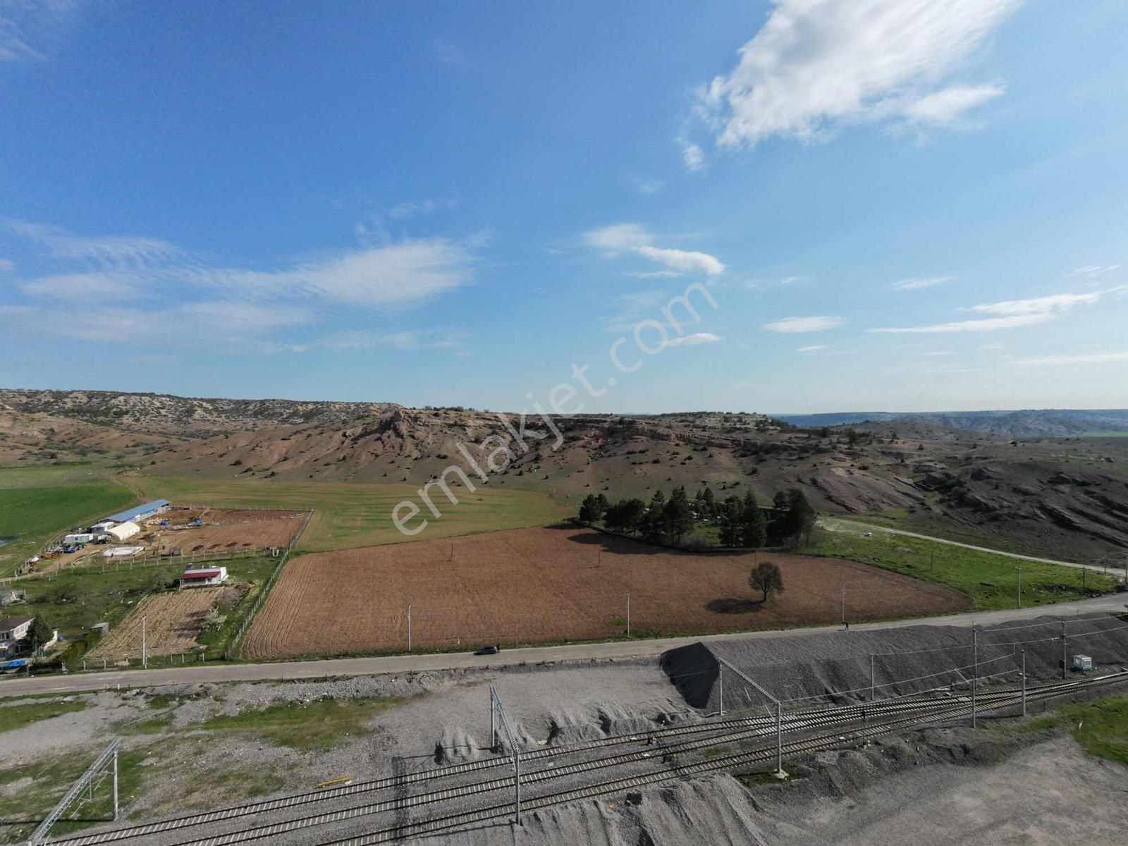 Rw Lıfe // Tepebaşı Gökçekısıkta Satılık Tarla — fotoğraf 5