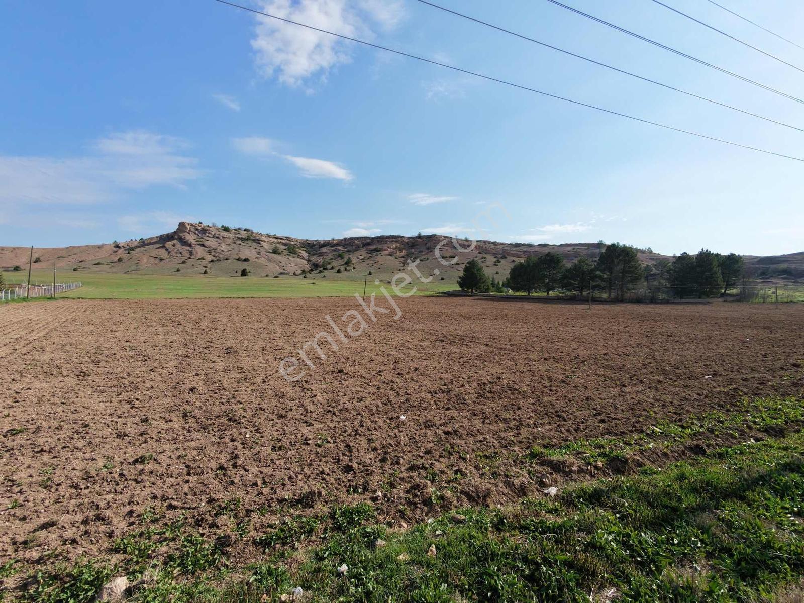Rw Lıfe // Tepebaşı Gökçekısıkta Satılık Tarla — fotoğraf 28