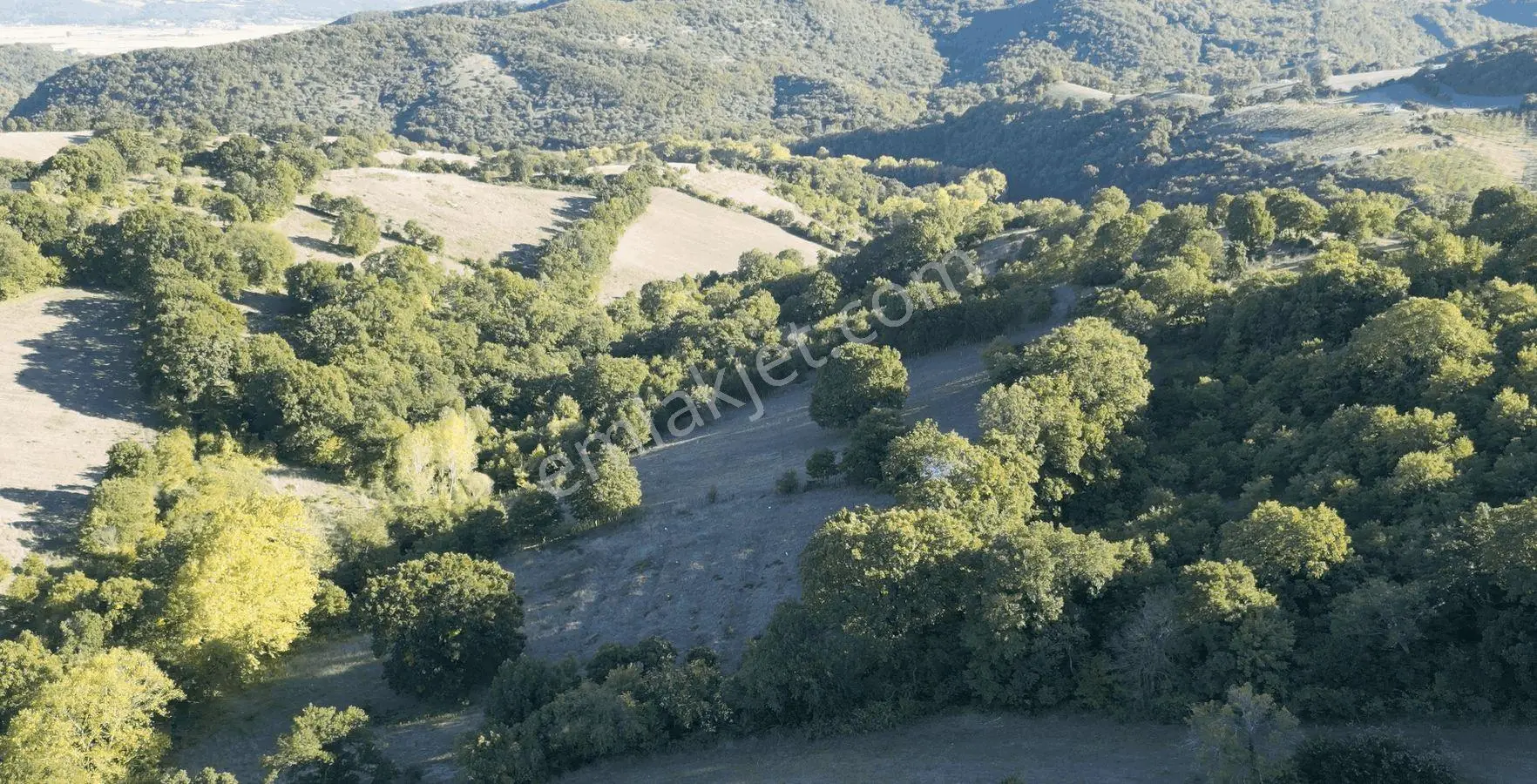 8.013 M2 Bağ Evi Ve Bahçesi. Keşif Arazi. Arazi Sahibi. — fotoğraf 47