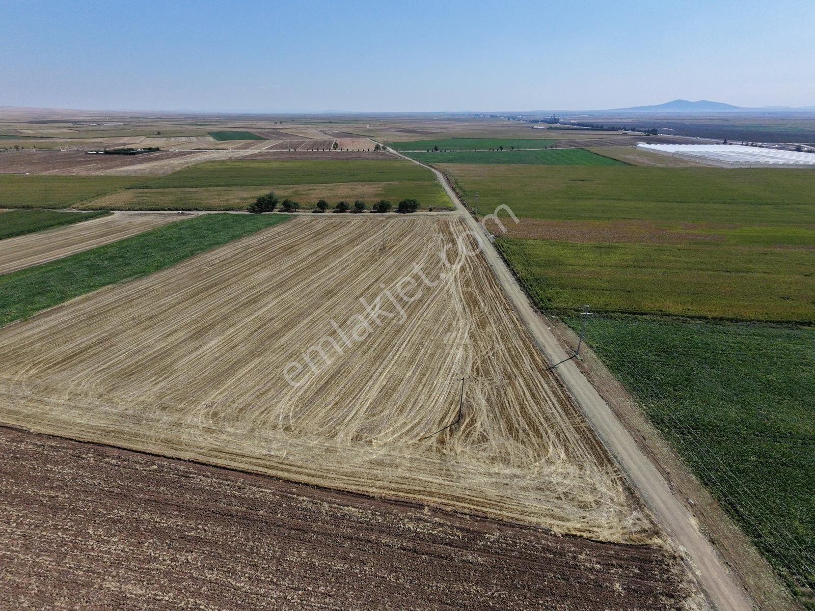 Rw Lıfe // Türkmentokat Mahallesinde Satılık Tarla — fotoğraf 4