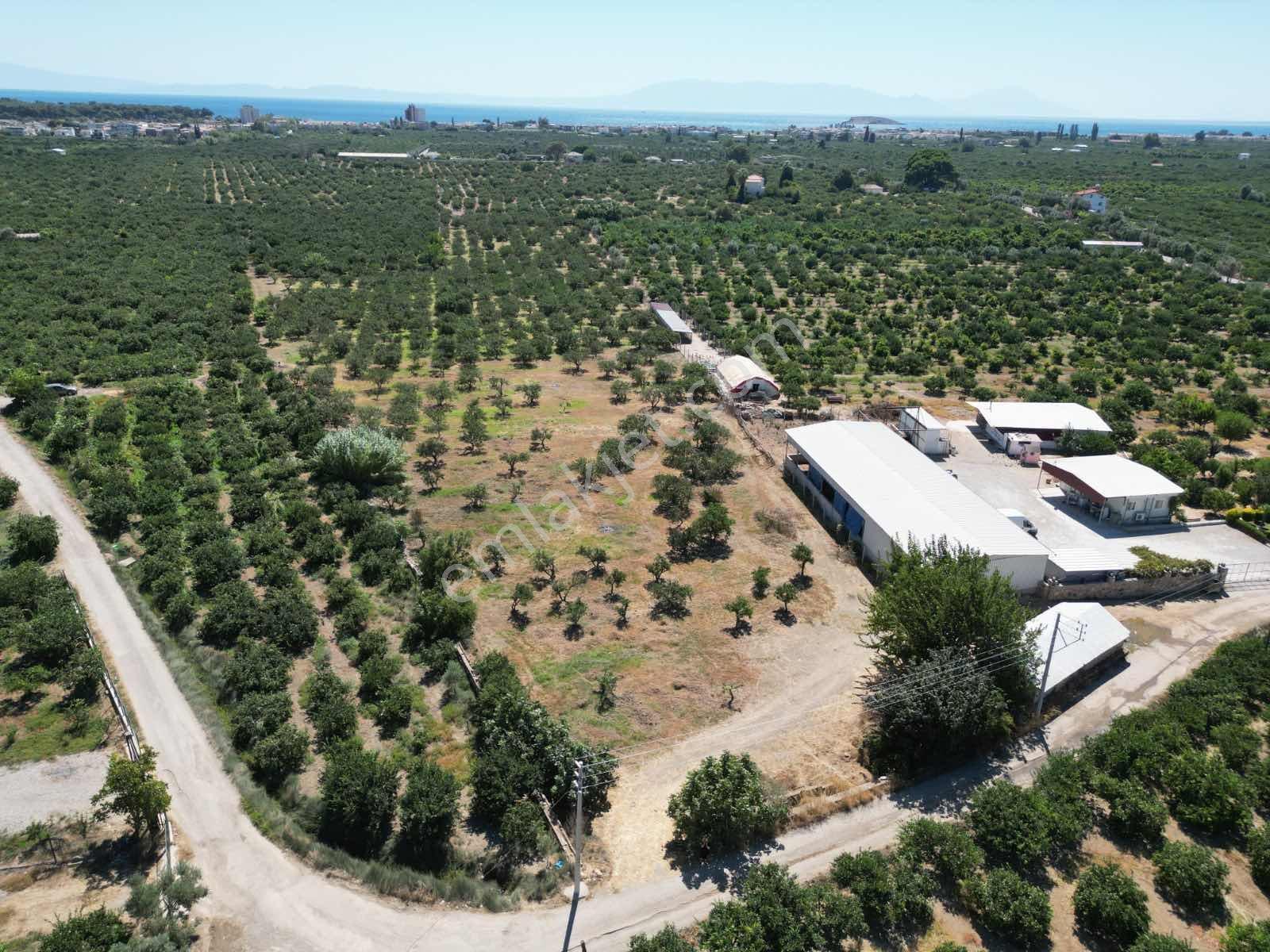 Gümüldür Sahile Çok Yakın 200 M2 Bahçeler Elektrik-su Hazır — fotoğraf 3