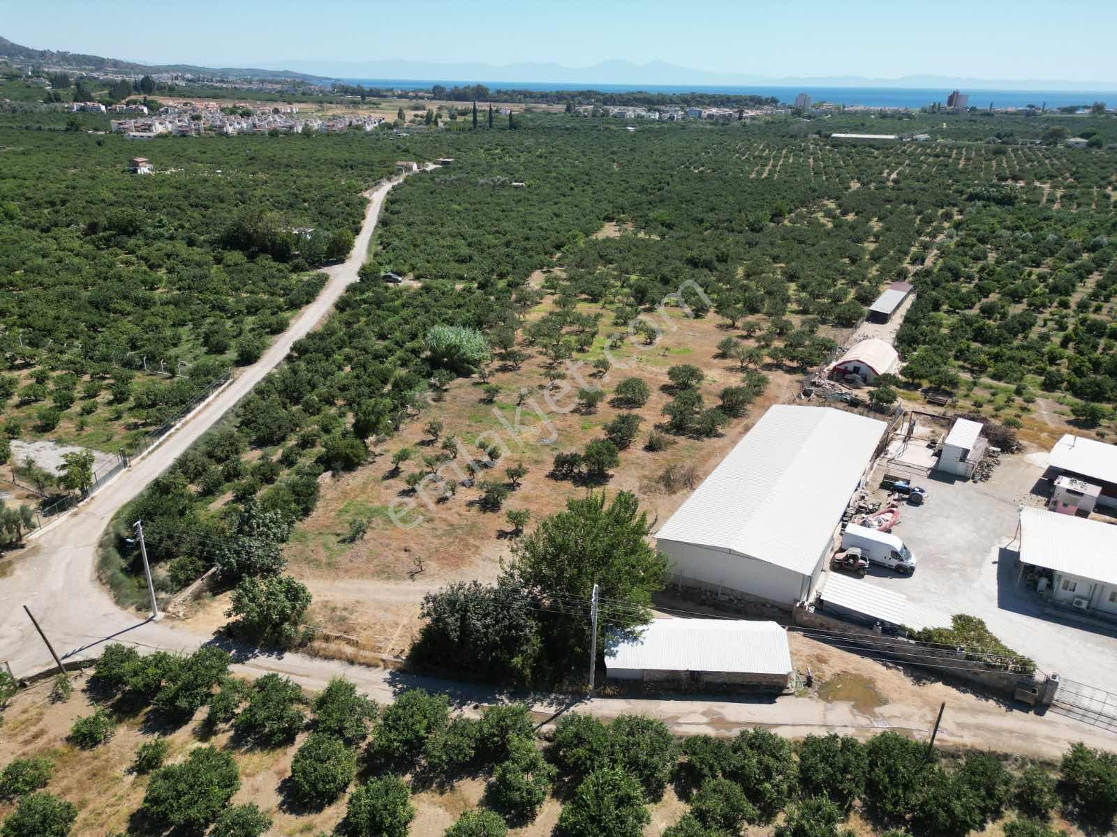 Gümüldür Sahile Çok Yakın 200 M2 Bahçeler Elektrik-su Hazır — fotoğraf 4
