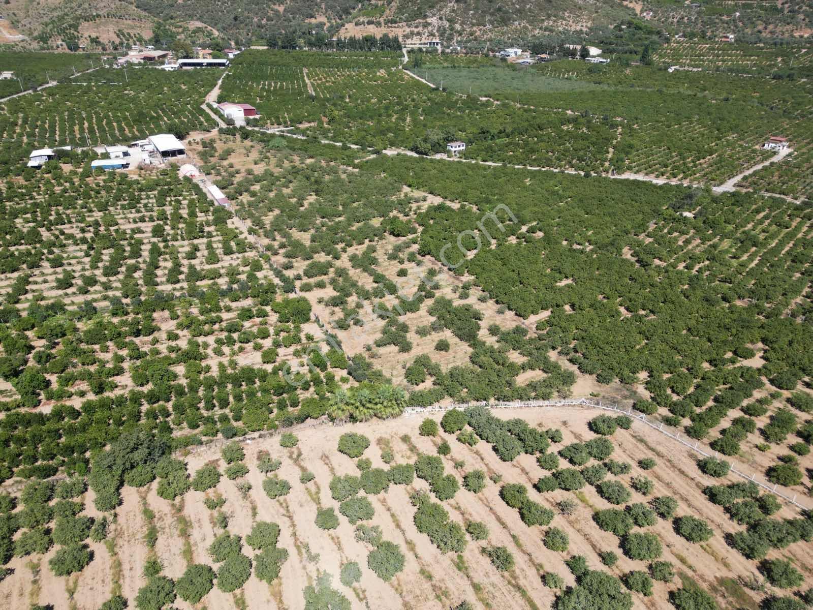 Gümüldür Sahile Çok Yakın 200 M2 Bahçeler Elektrik-su Hazır — fotoğraf 12
