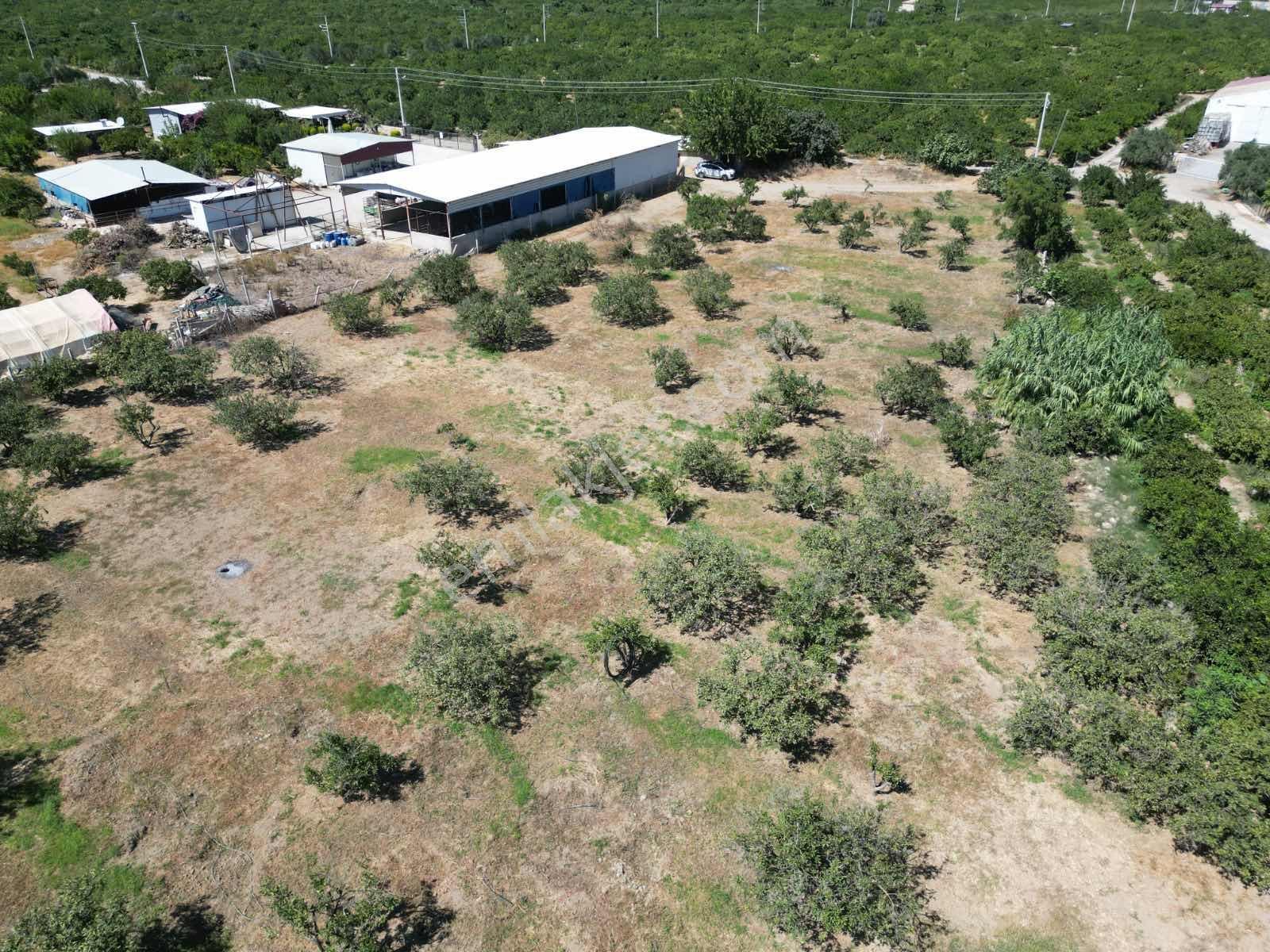 Gümüldür Sahile Çok Yakın 200 M2 Bahçeler Elektrik-su Hazır — fotoğraf 17