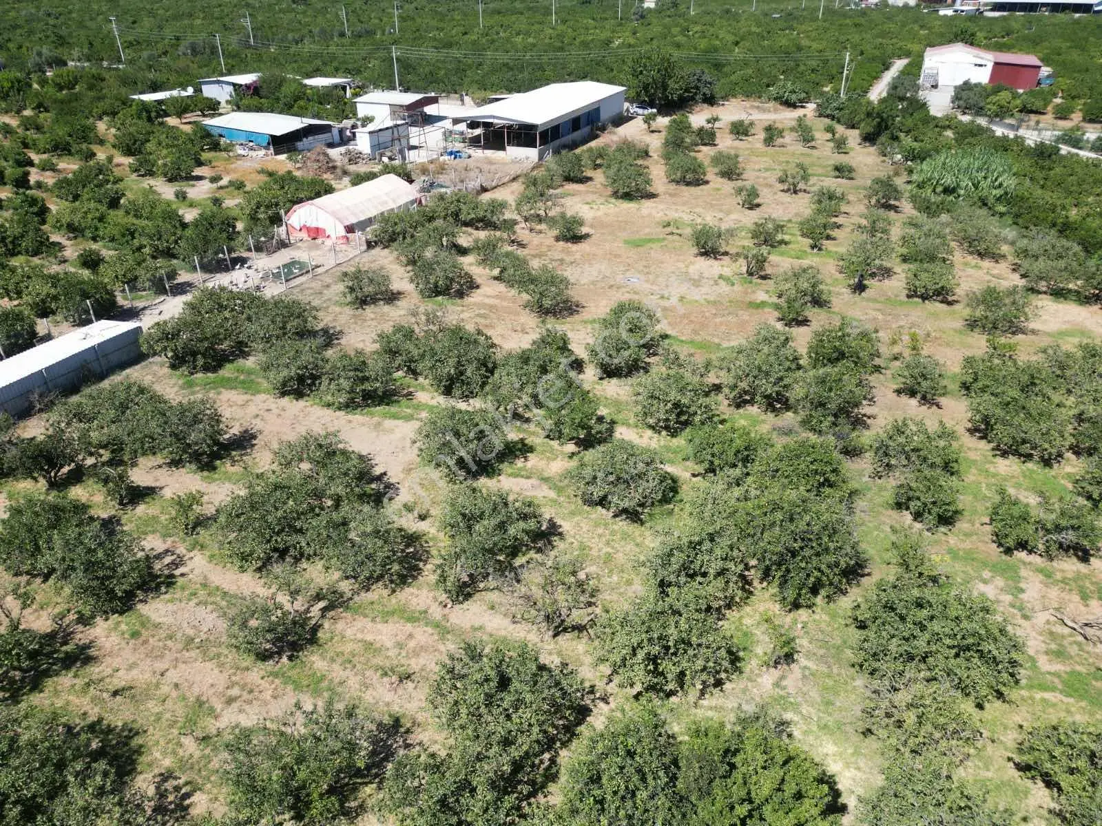 Gümüldür Sahile Çok Yakın 200 M2 Bahçeler Elektrik-su Hazır — fotoğraf 21