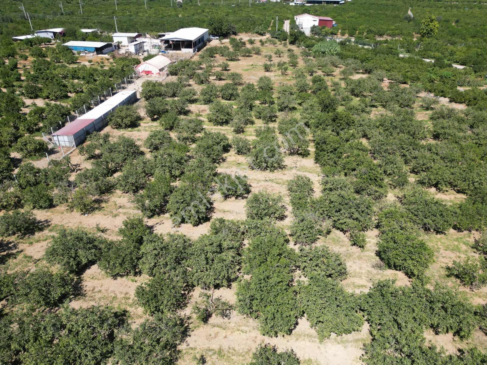 Gümüldür Sahile Çok Yakın 200 M2 Bahçeler Elektrik-su Hazır — fotoğraf 22