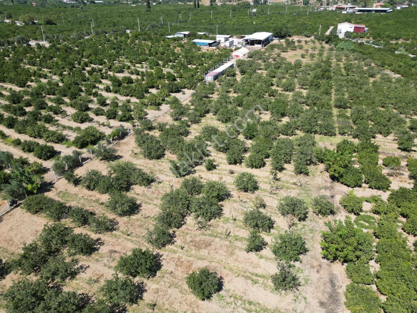 Gümüldür Sahile Çok Yakın 200 M2 Bahçeler Elektrik-su Hazır — fotoğraf 23