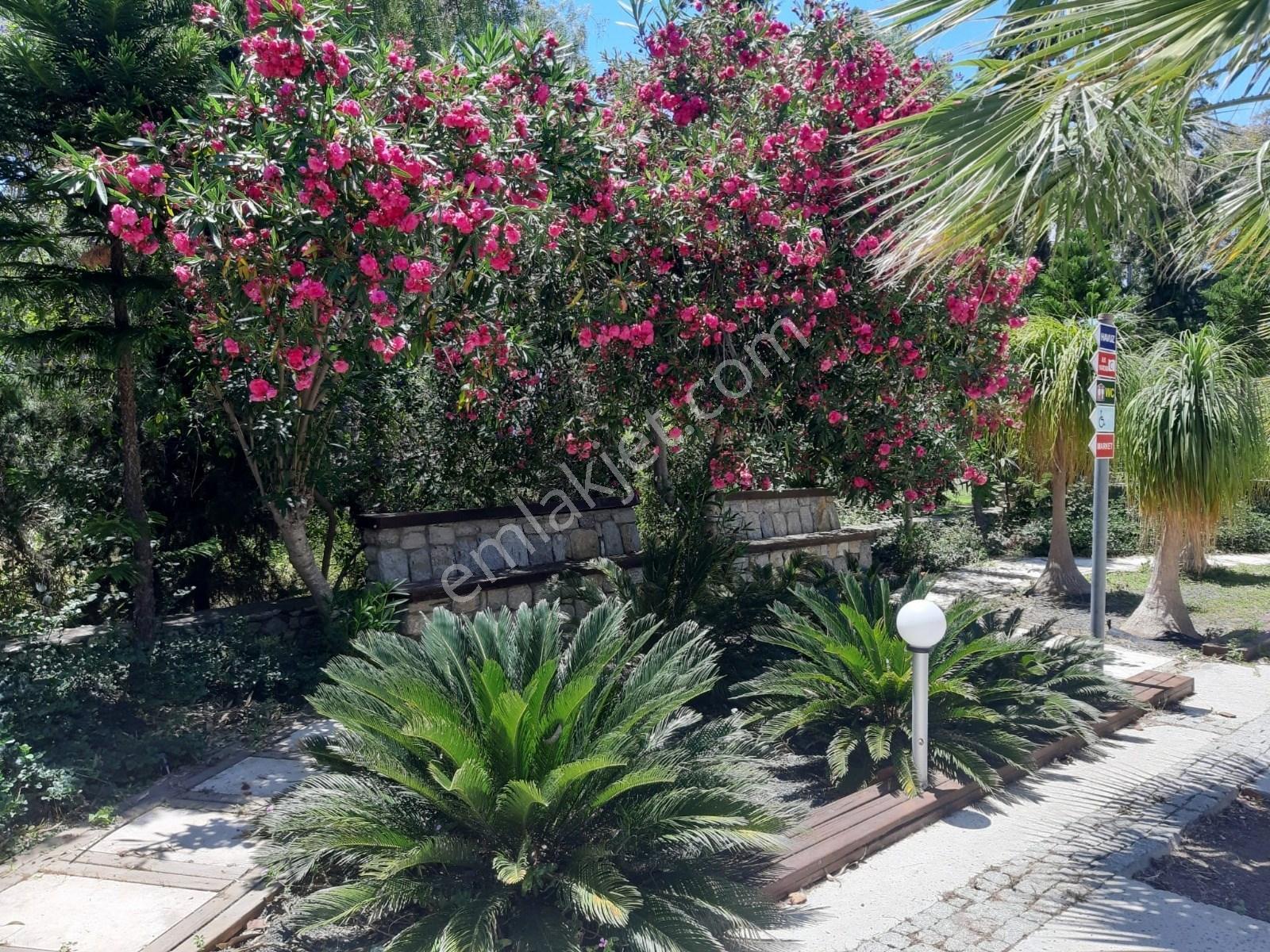 Datça Billurkent Tatil Köyünde İkinci Dönem Satılık Devre — fotoğraf 5