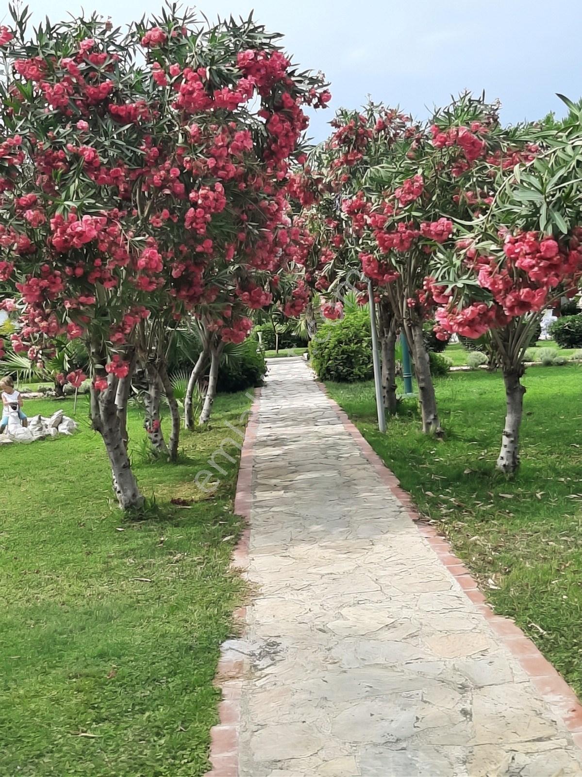 Datça Billurkent Tatil Köyünde İkinci Dönem Satılık Devre — fotoğraf 6