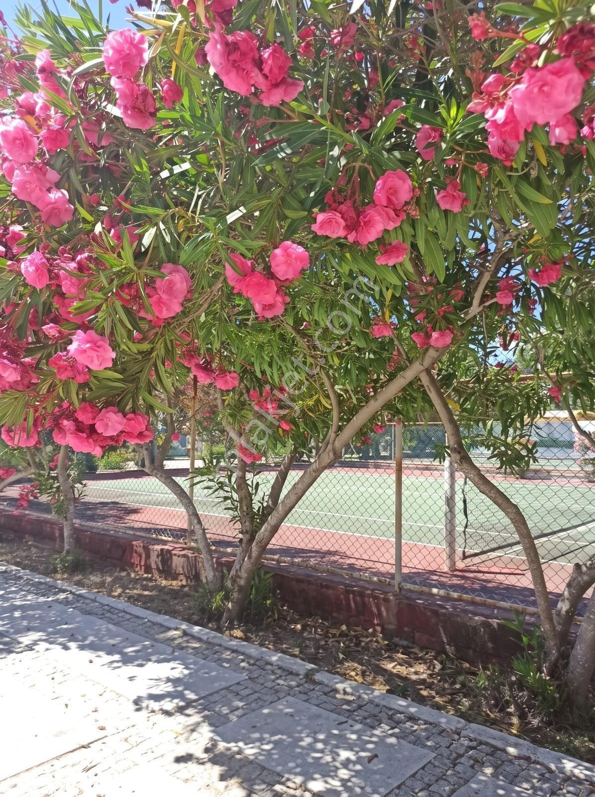 Datça Billurkent Tatil Köyünde İkinci Dönem Satılık Devre — fotoğraf 8