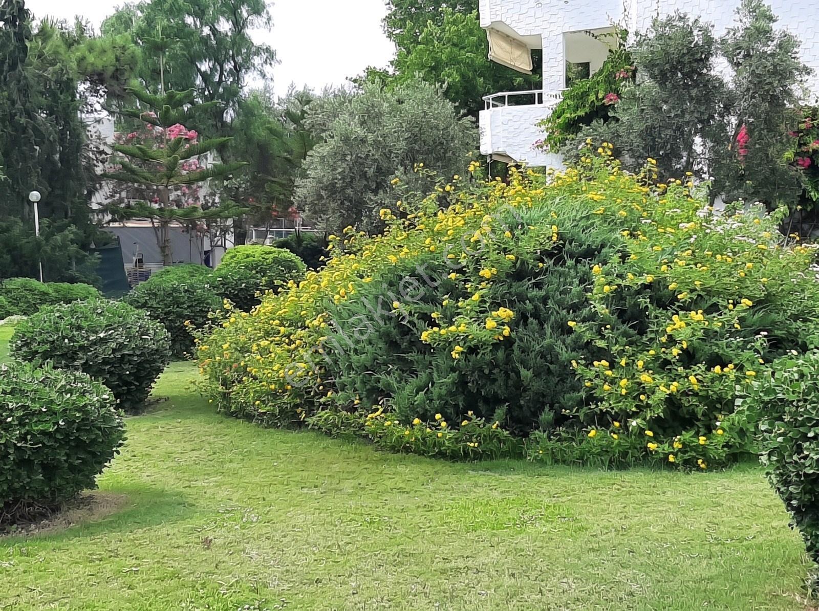 Datça Billurkent Tatil Köyünde İkinci Dönem Satılık Devre — fotoğraf 10