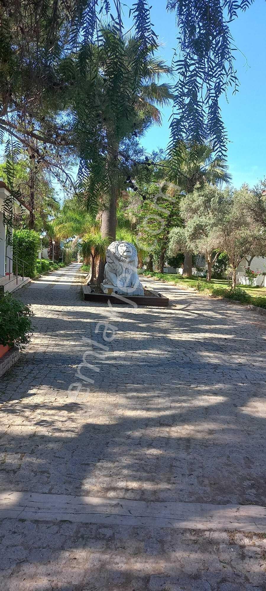 Datça Billurkent Tatil Köyünde İkinci Dönem Satılık Devre — fotoğraf 11