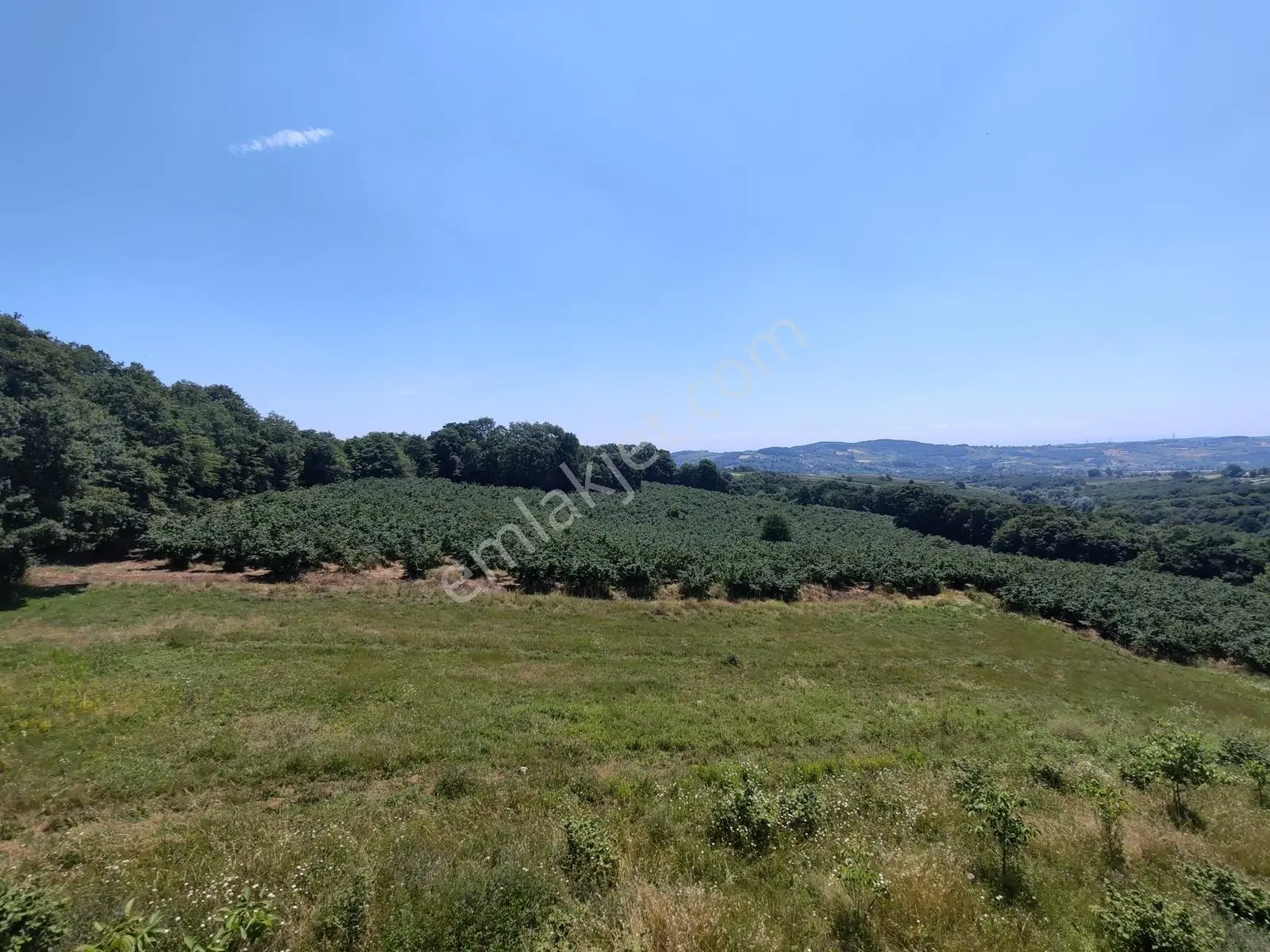 Kandıra Döngelli De 220 M2. ( 5+1 ) Dublex Müstakil Ev — fotoğraf 5