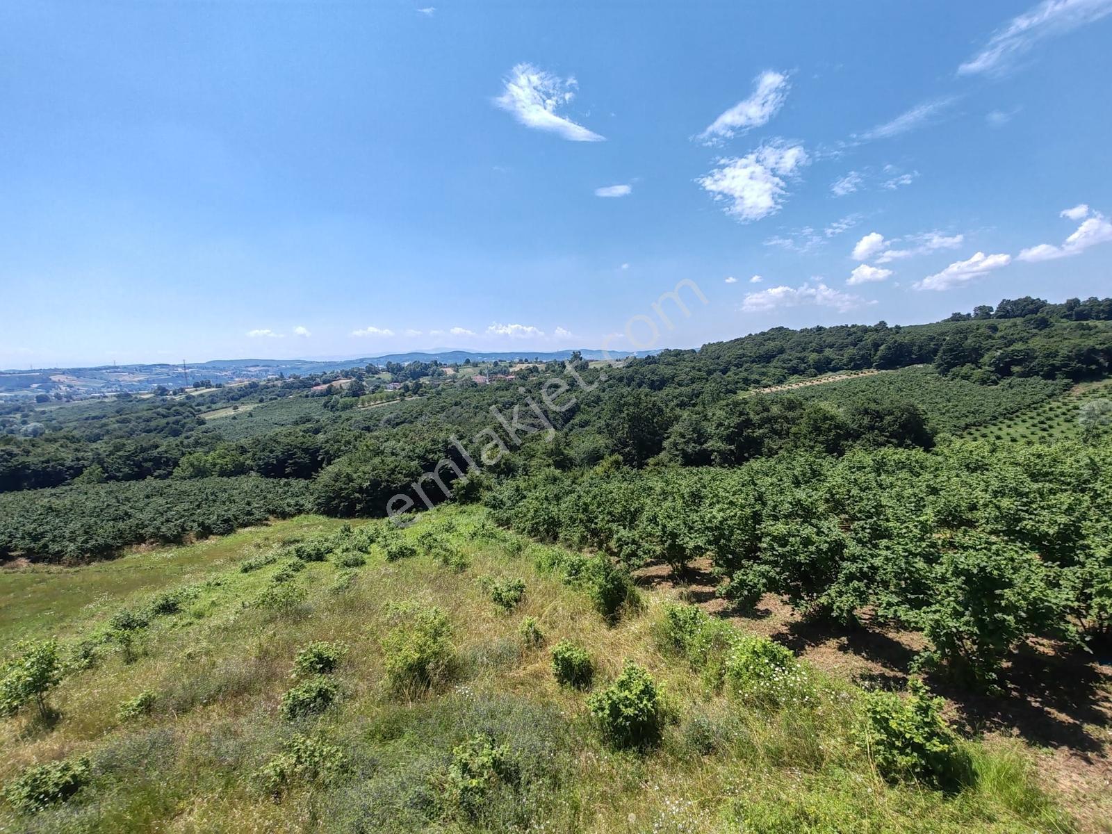Kandıra Döngelli De 220 M2. ( 5+1 ) Dublex Müstakil Ev — fotoğraf 6