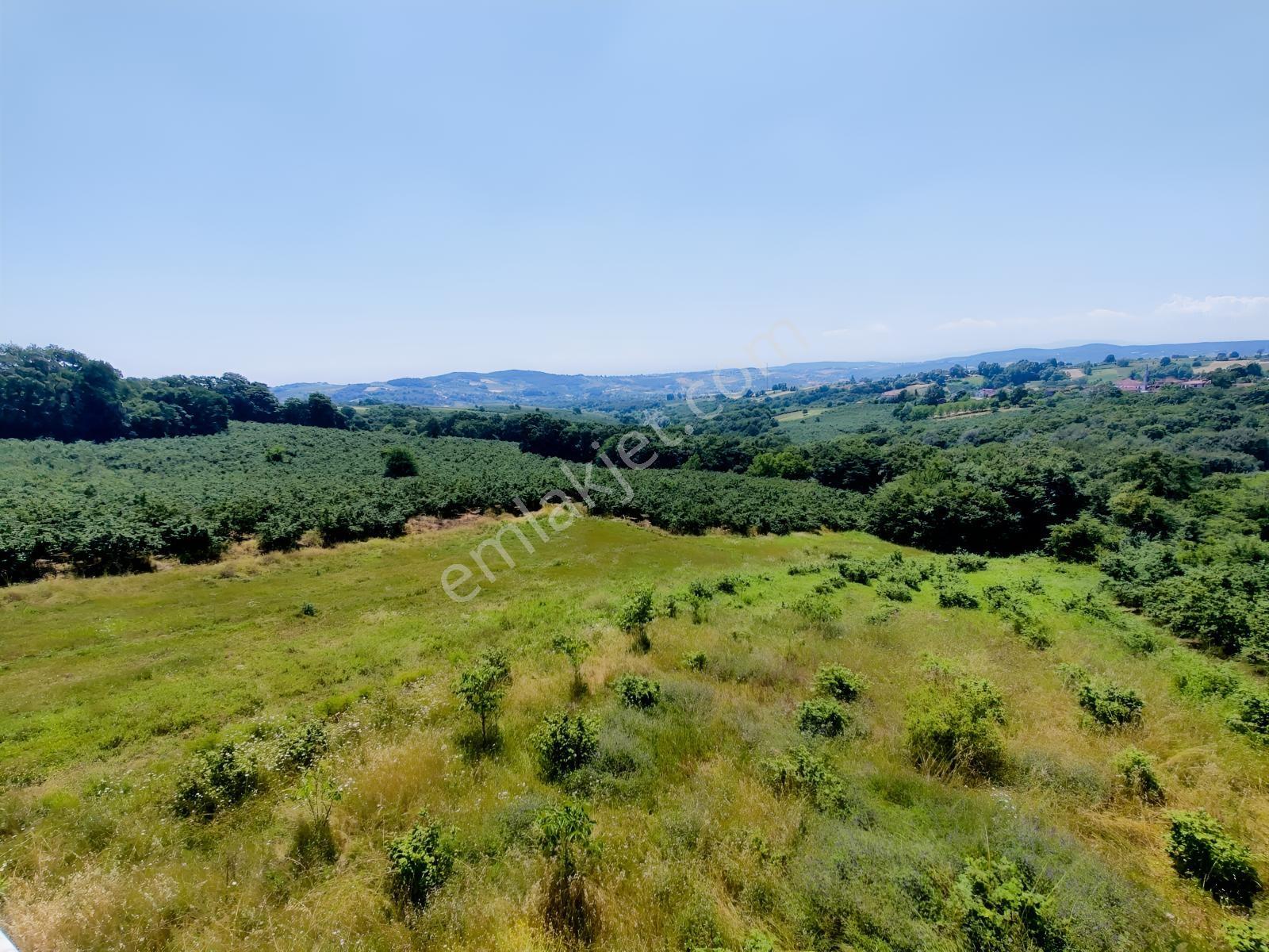 Kandıra Döngelli De 220 M2. ( 5+1 ) Dublex Müstakil Ev — fotoğraf 8