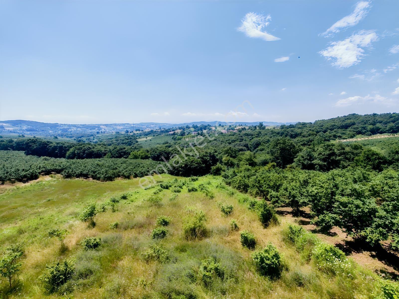 Kandıra Döngelli De 220 M2. ( 5+1 ) Dublex Müstakil Ev — fotoğraf 9