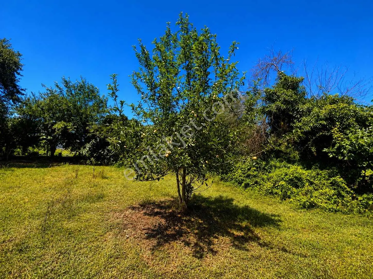 Mg Emlaktan Kepekli'de 1642 M² İmarlı Satılık Arsa — fotoğraf 7