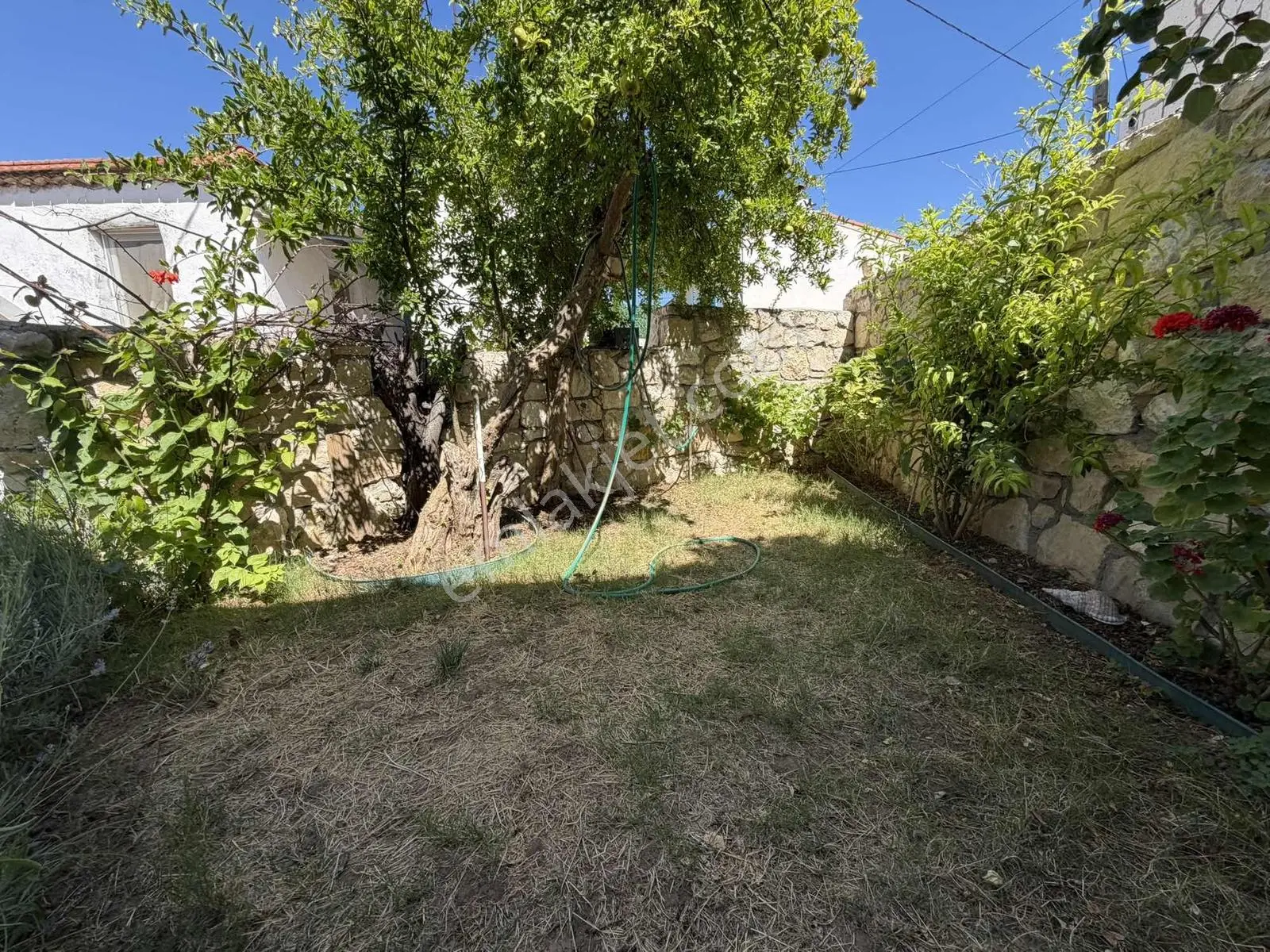 Startkey Ada Gayrimenkul'den 2+1 Müstakil Bahçeli Köy Evi — fotoğraf 5