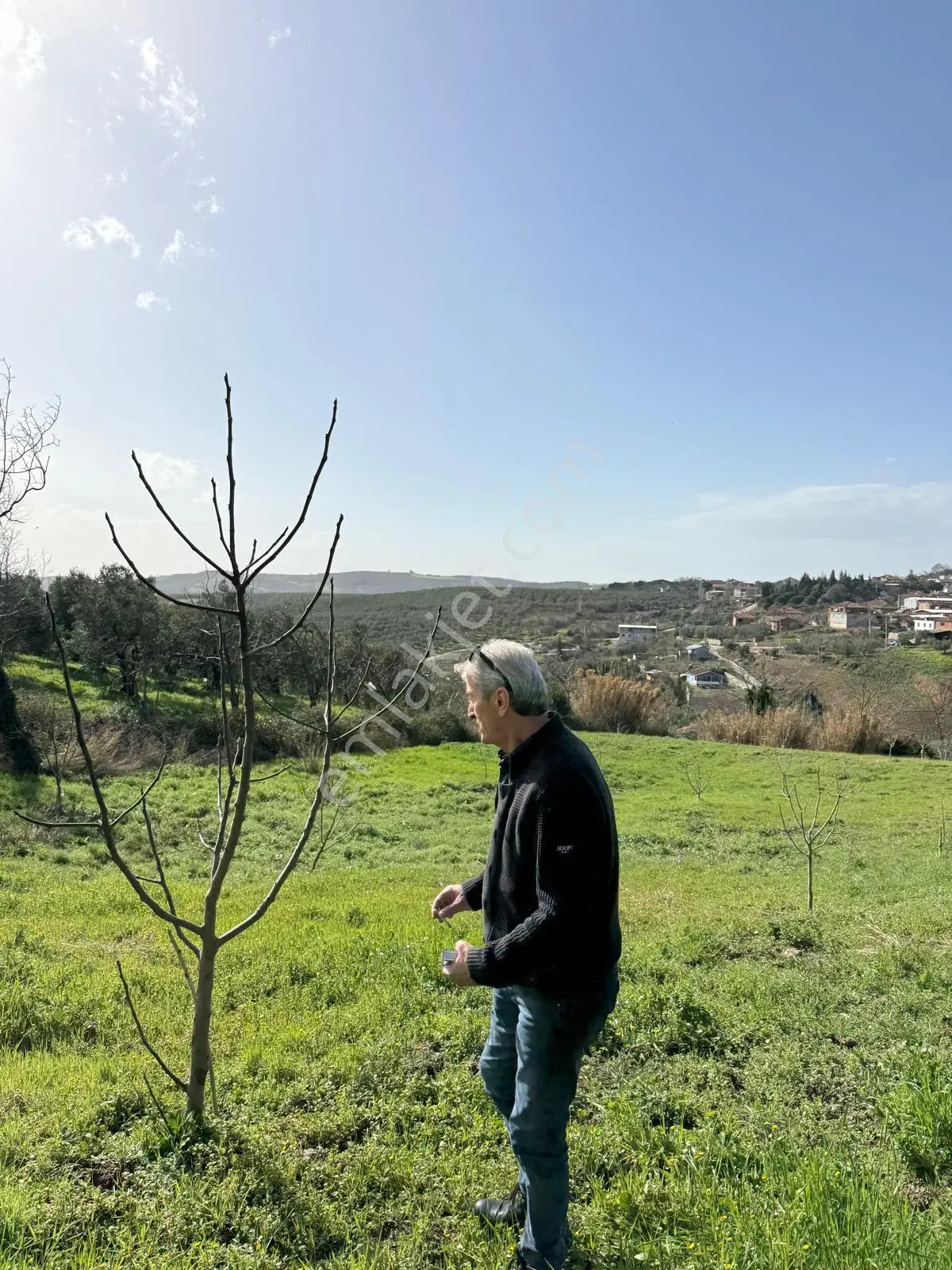 Mirzaoba'da Tek Tapulu 50 İncir Ağaçlı Fırsat Tarlası... — fotoğraf 3