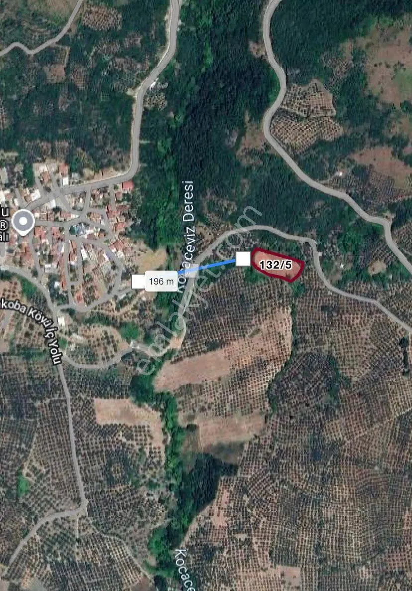 Mirzaoba'da Tek Tapulu 50 İncir Ağaçlı Fırsat Tarlası... — fotoğraf 5
