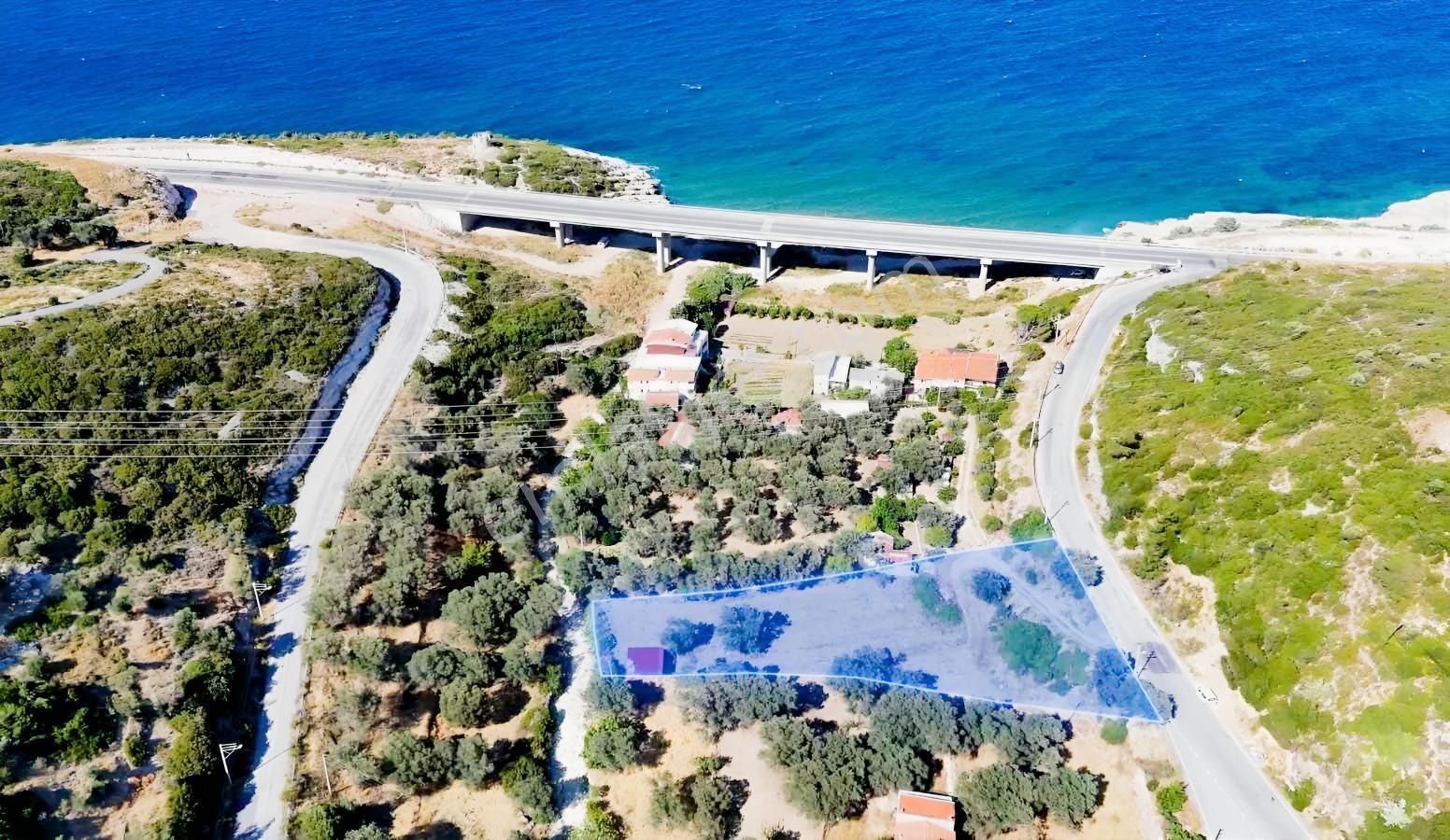 Eğlenhoca Dereağzı Mevkinde 2.400 M2 Tarla — fotoğraf 4