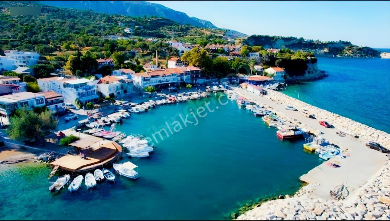 İnecik Köyünde Deniz Manzaralı Tarla — fotoğraf 2