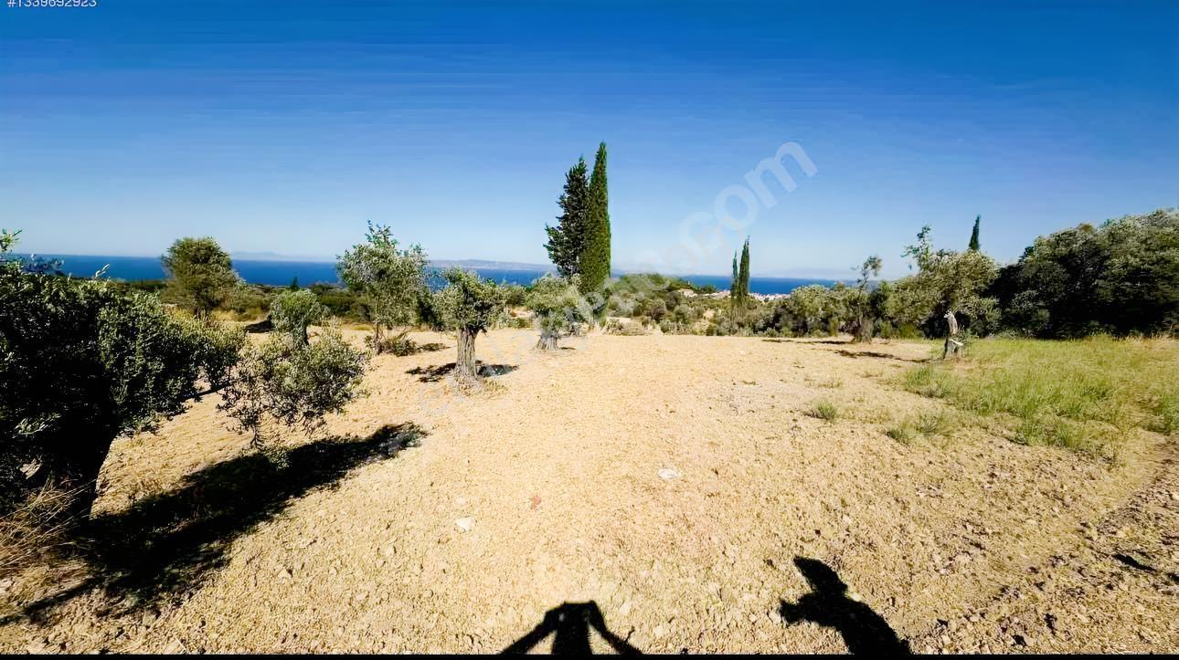 İnecik Köyünde Deniz Manzaralı Tarla — fotoğraf 3