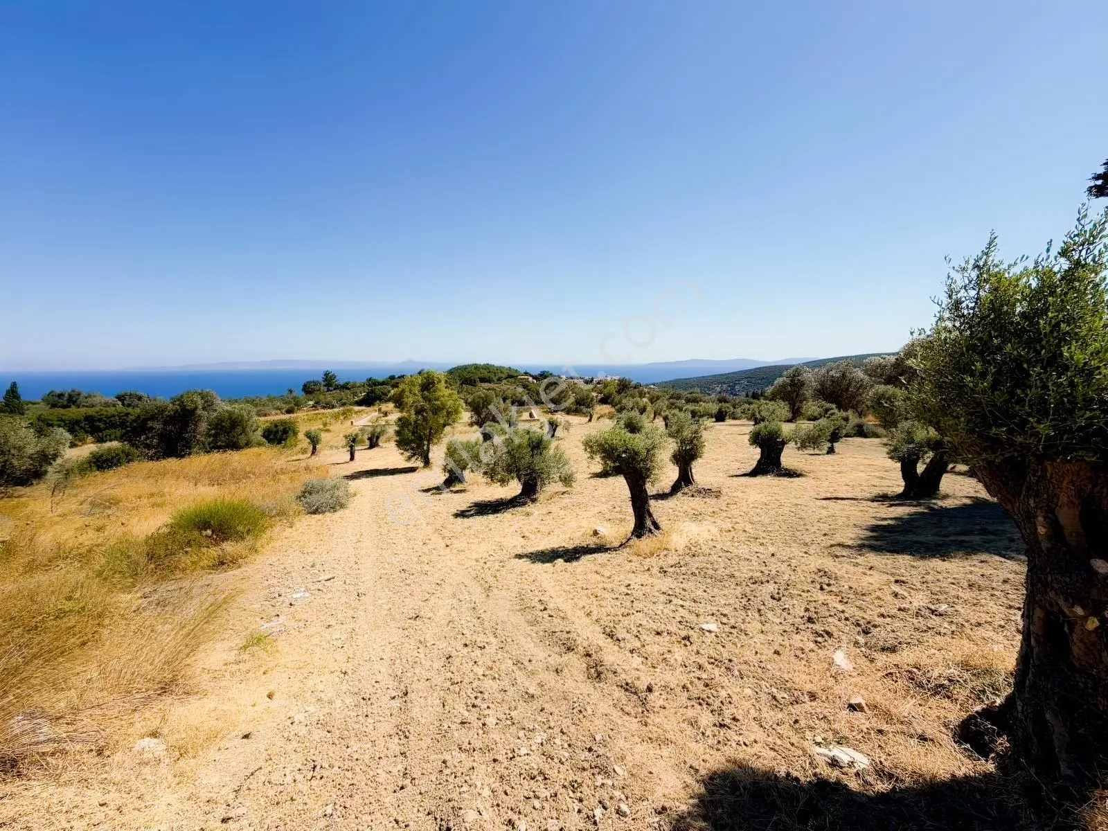 İnecik Köyünde Deniz Manzaralı Tarla — fotoğraf 9
