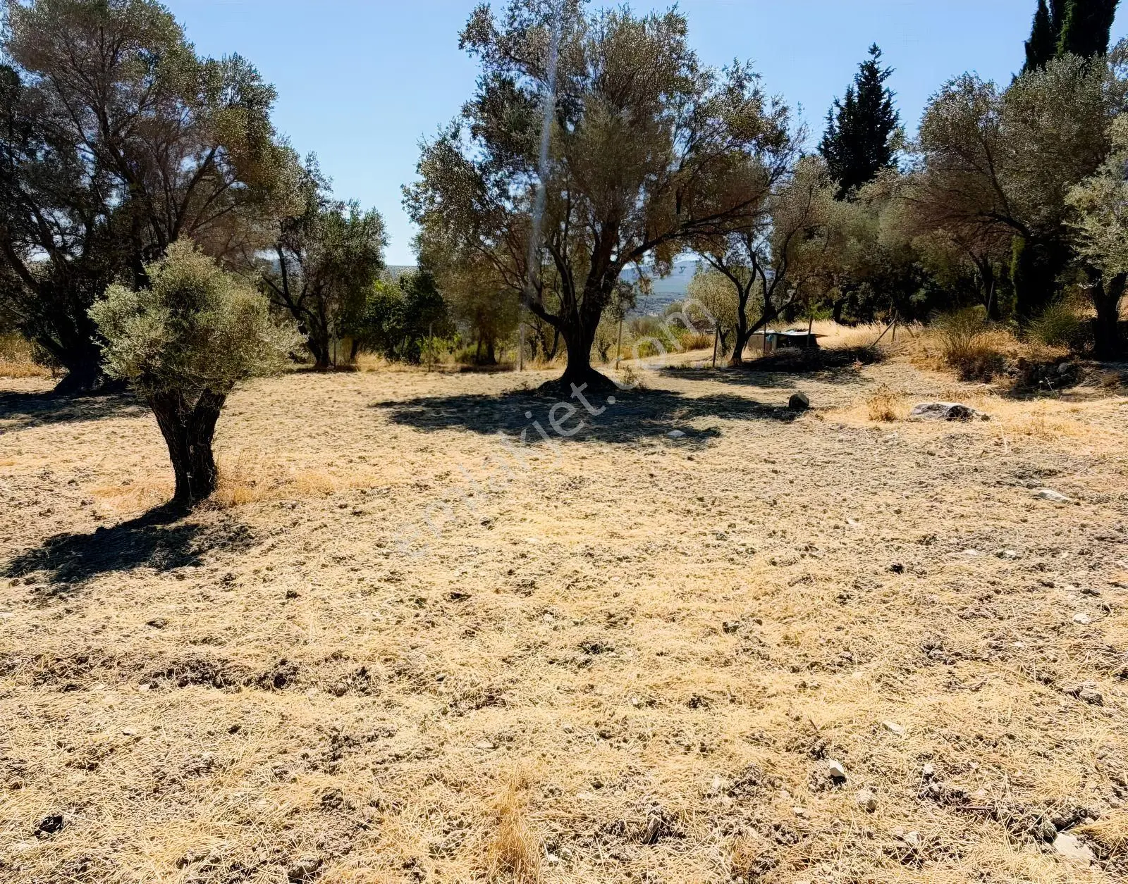 İnecik Köyünde Deniz Manzaralı Tarla — fotoğraf 19