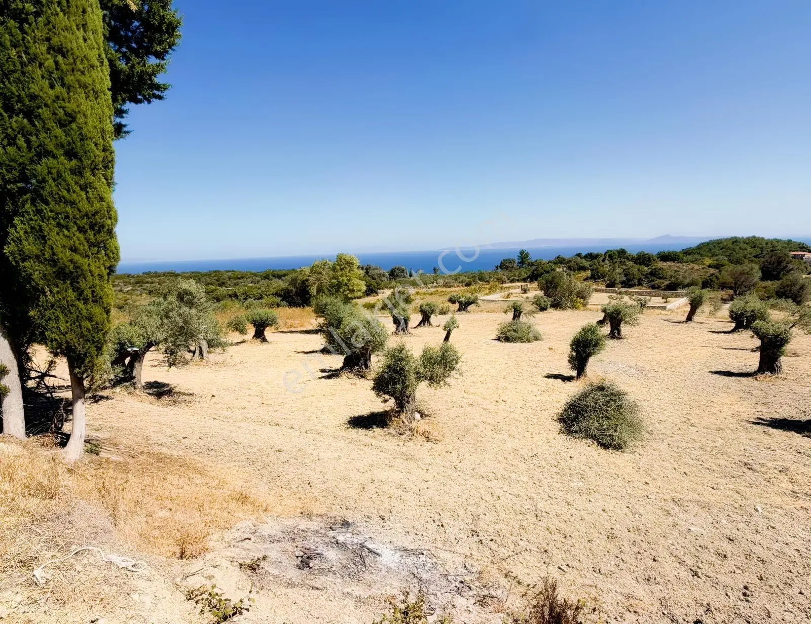 İnecik Köyünde Deniz Manzaralı Tarla — fotoğraf 22