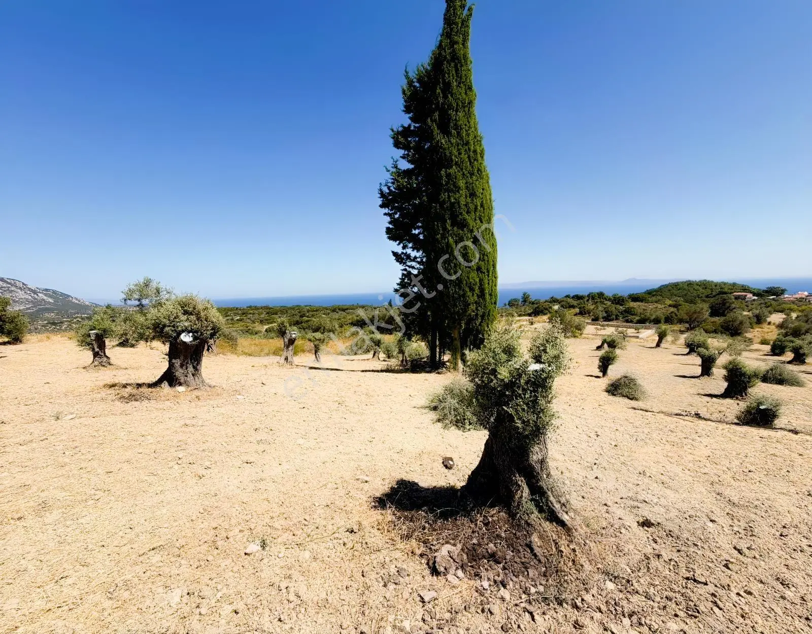İnecik Köyünde Deniz Manzaralı Tarla — fotoğraf 26