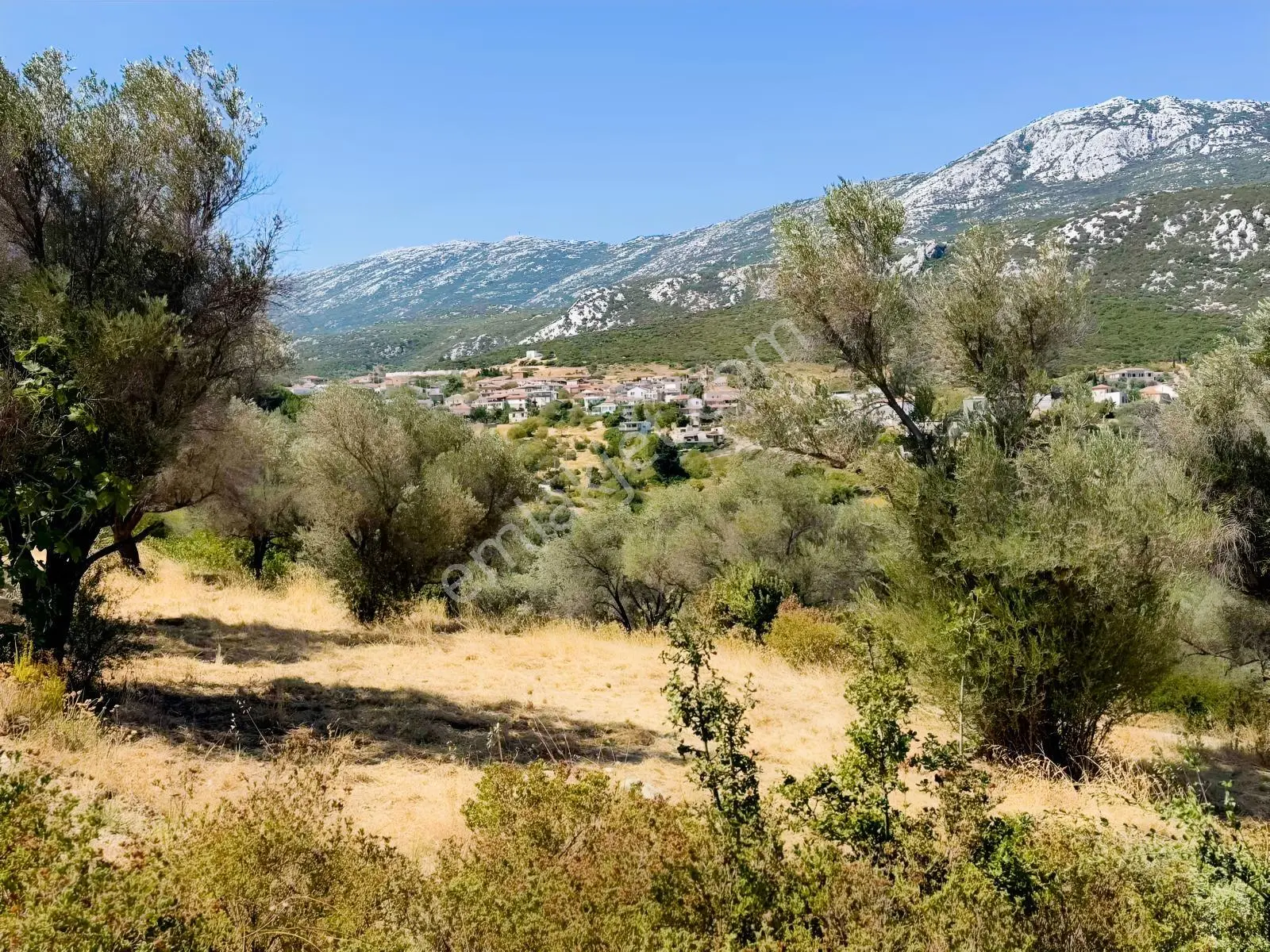 İnecik Köyünde Deniz Manzaralı Tarla — fotoğraf 32