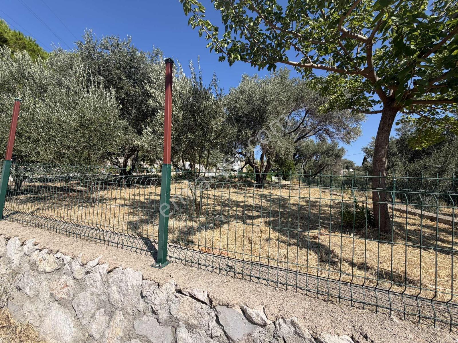 Boyabağ Koyuna 250 Metre Mesafede 384 M2 Köşe Parsel — fotoğraf 8