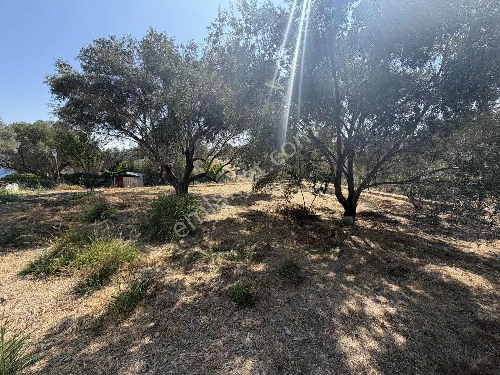 Boyabağ Koyuna 250 Metre Mesafede 384 M2 Köşe Parsel — fotoğraf 12