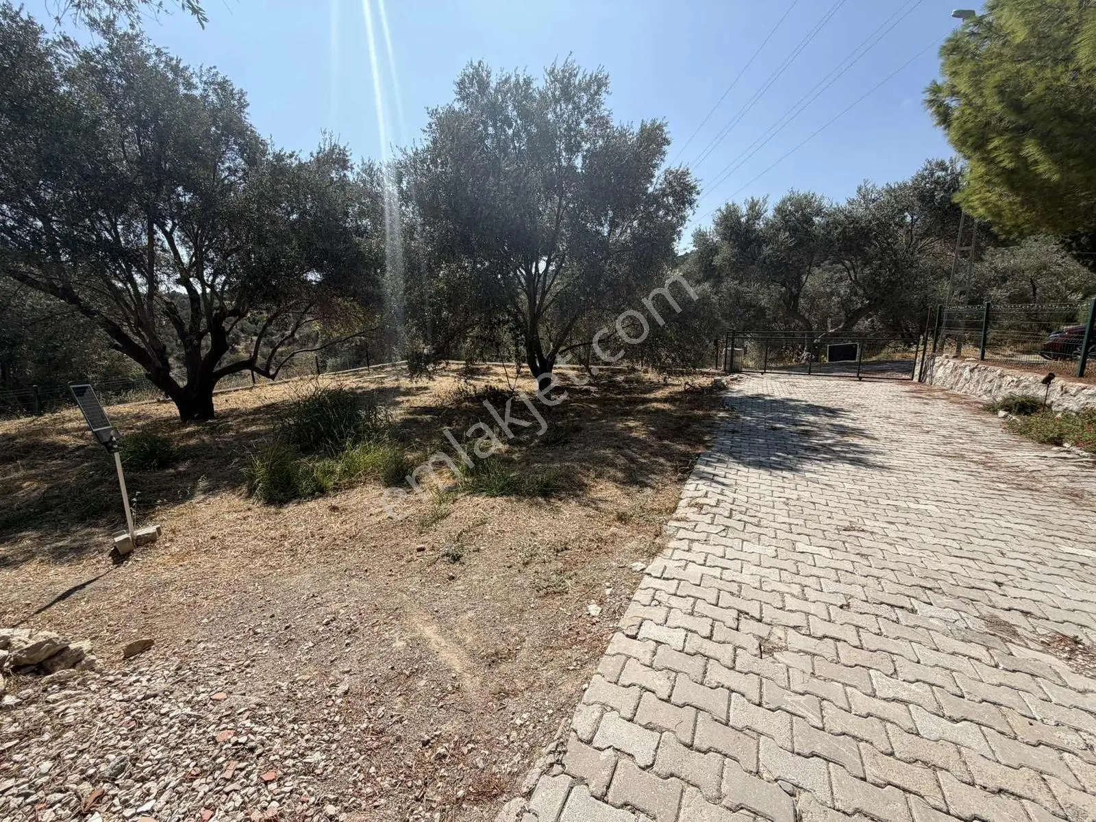 Boyabağ Koyuna 250 Metre Mesafede 384 M2 Köşe Parsel — fotoğraf 15