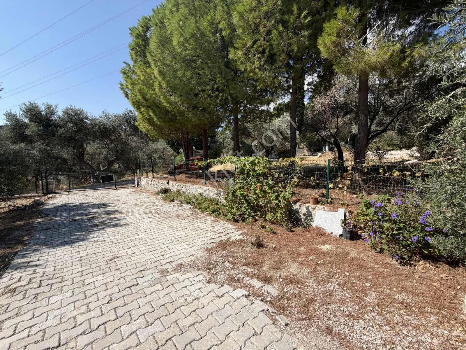 Boyabağ Koyuna 250 Metre Mesafede 384 M2 Köşe Parsel — fotoğraf 16