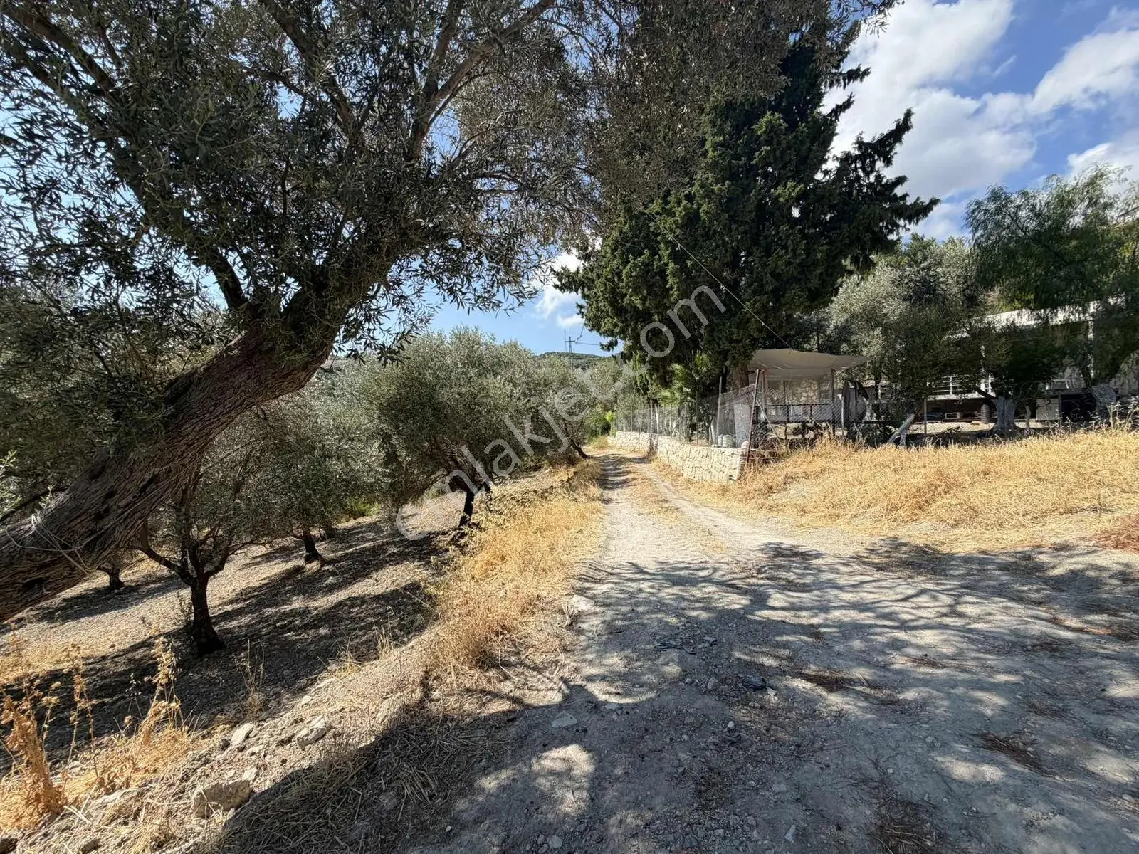 Boyabağ Koyuna 250 Metre Mesafede 384 M2 Köşe Parsel — fotoğraf 27