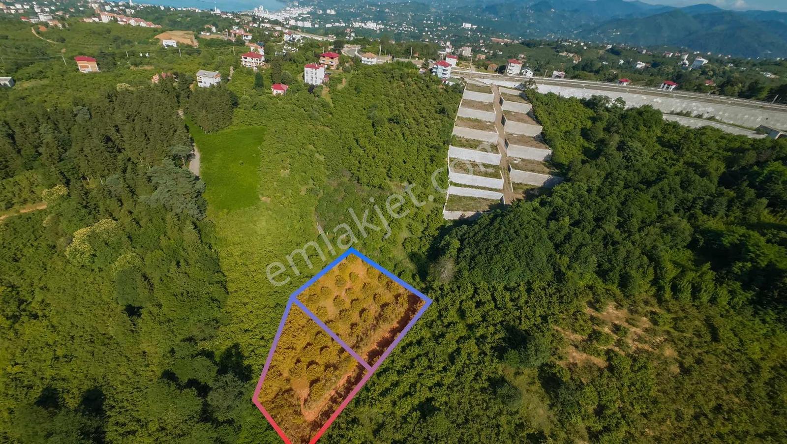Çileklide Satılık Müstakil Parsel Arsalar