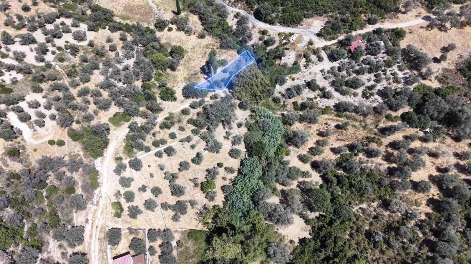 Kösedere Köyünde 270 M2 Yola Cepheli Arazi — fotoğraf 3