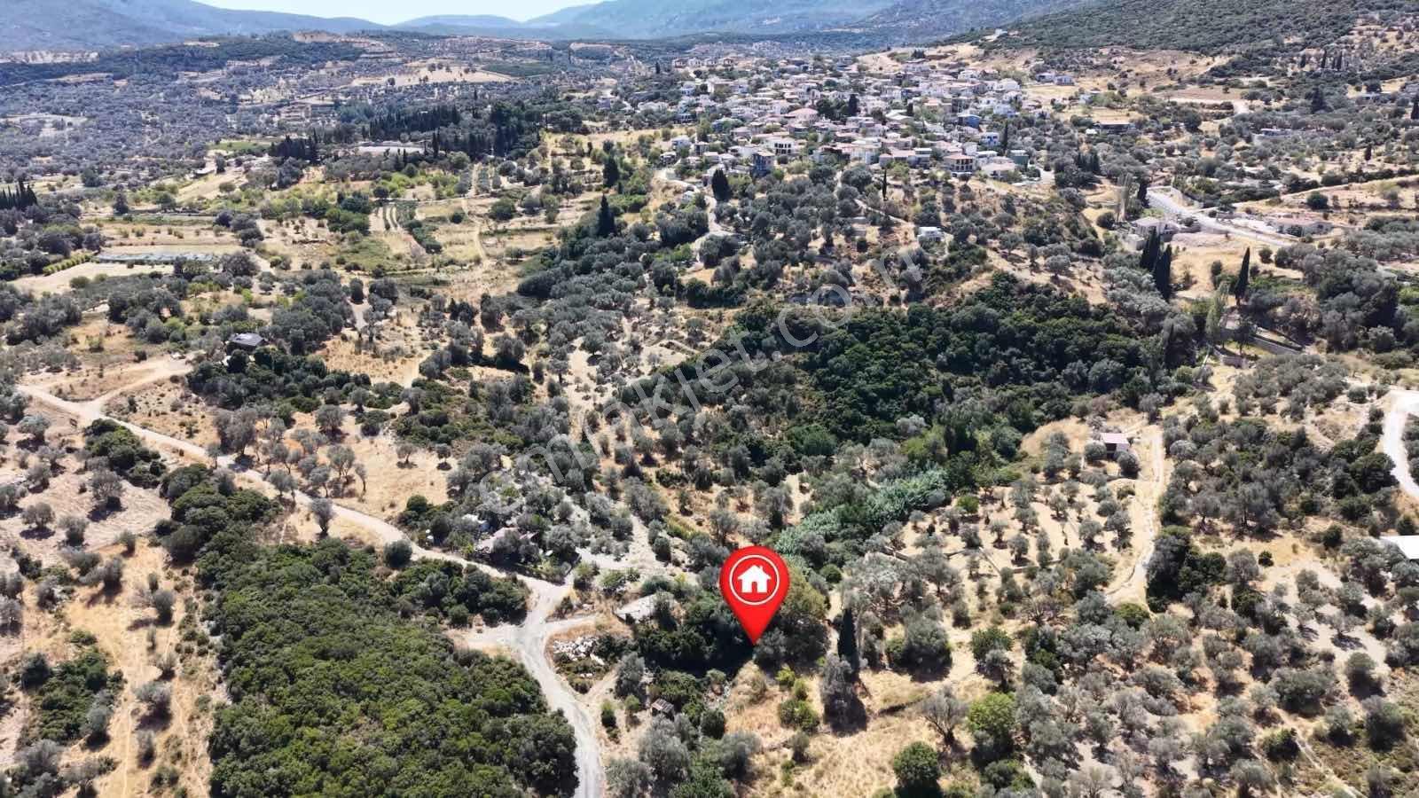 Kösedere Köyünde 270 M2 Yola Cepheli Arazi — fotoğraf 5